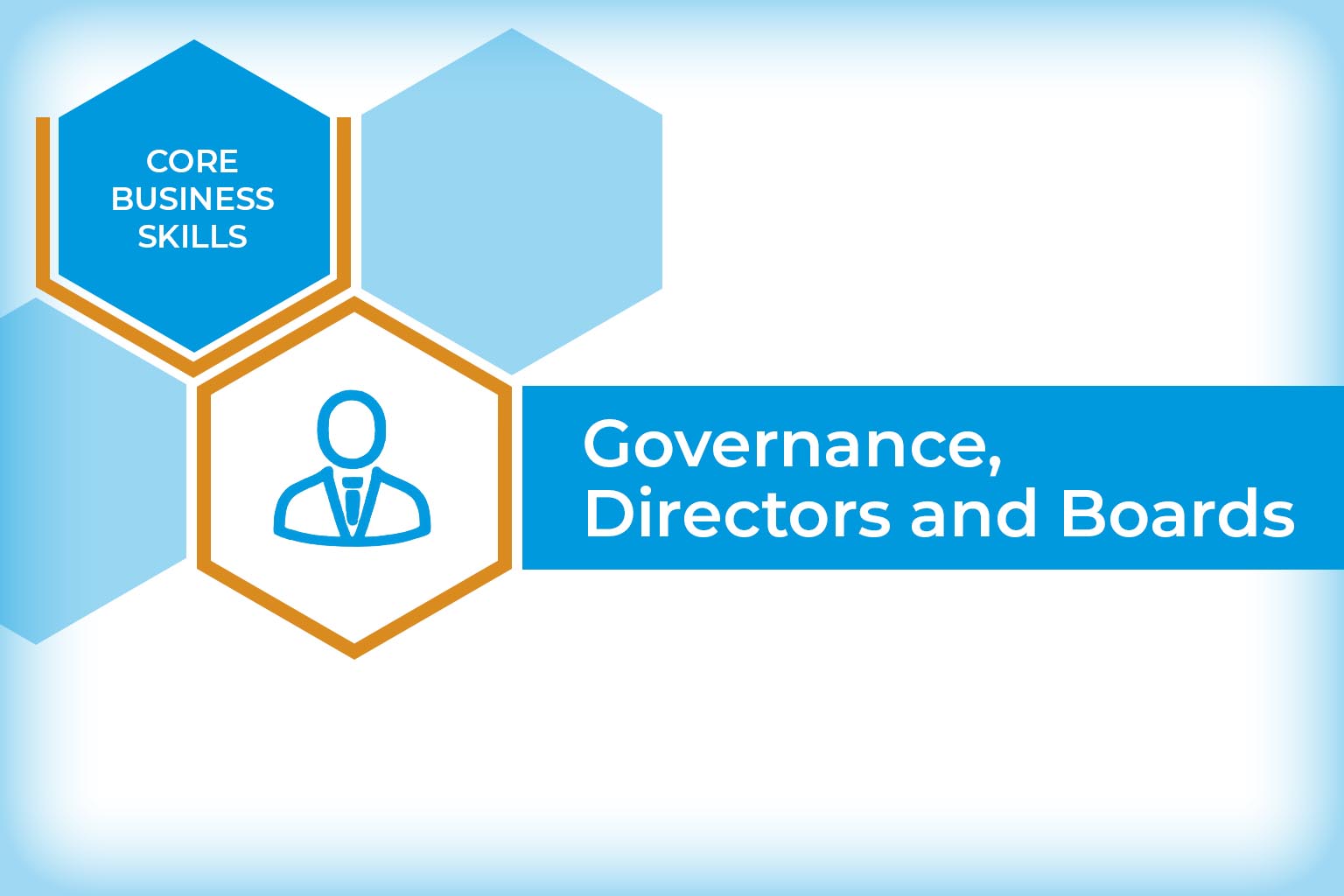 Governance, Directors and Boards