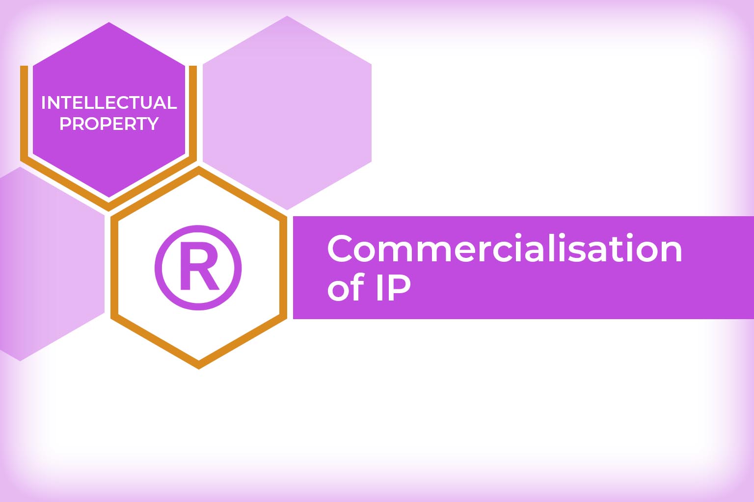 IP Licensing