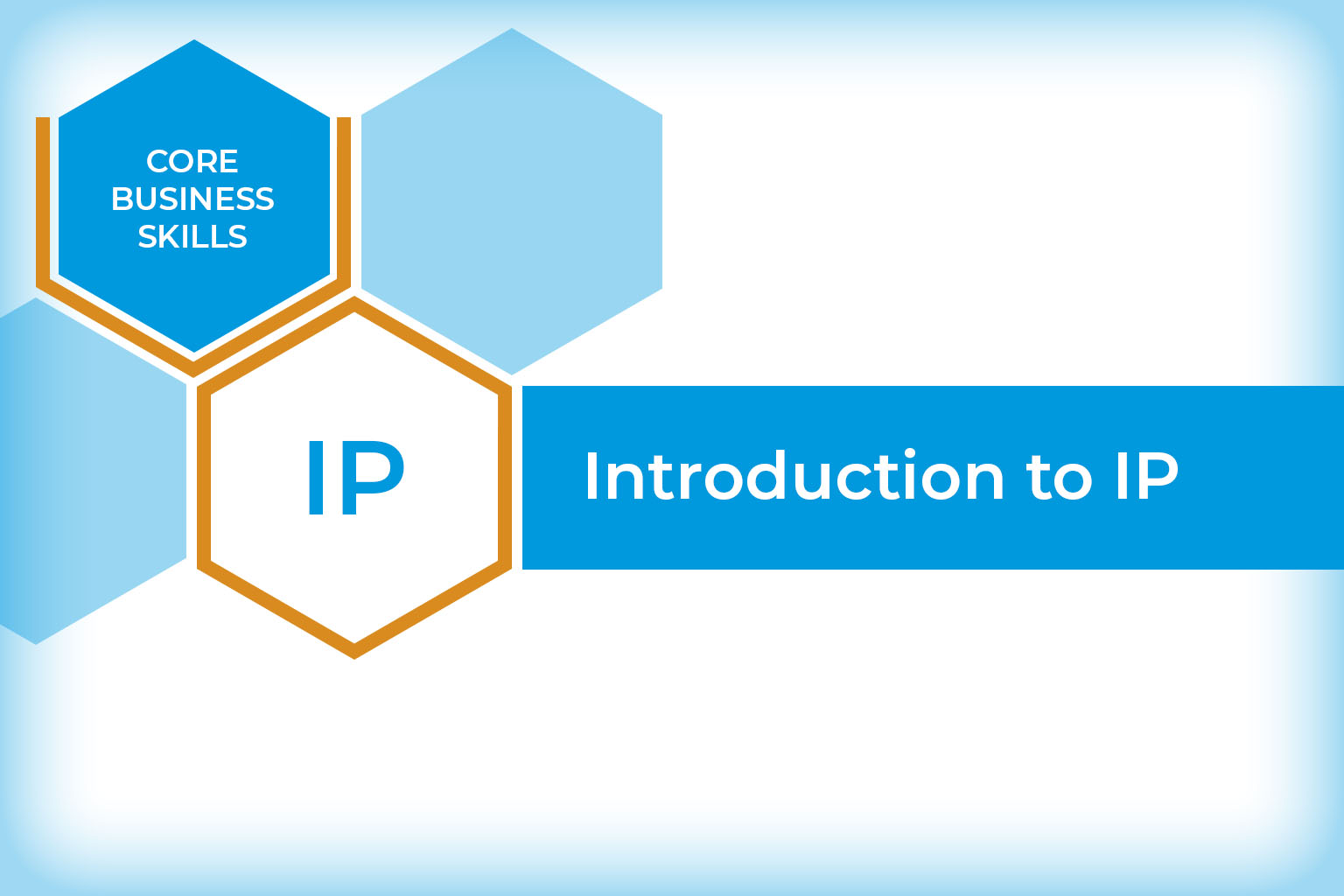 Introduction to Intellectual Property (IP)