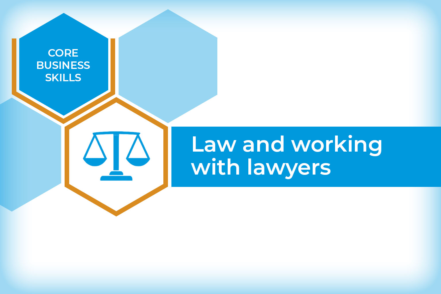Law and working with lawyers