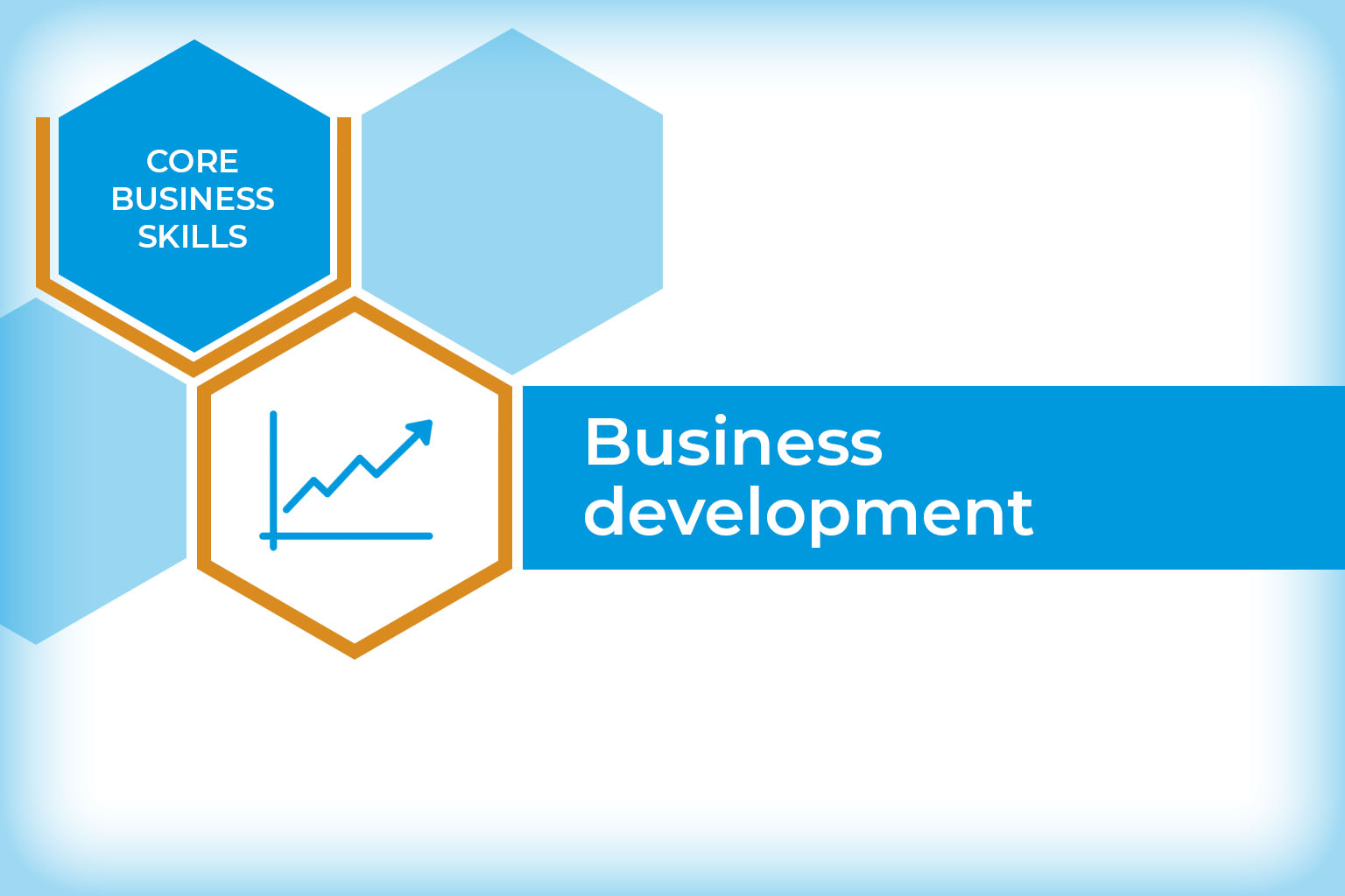 Sales, marketing and business development (BD)