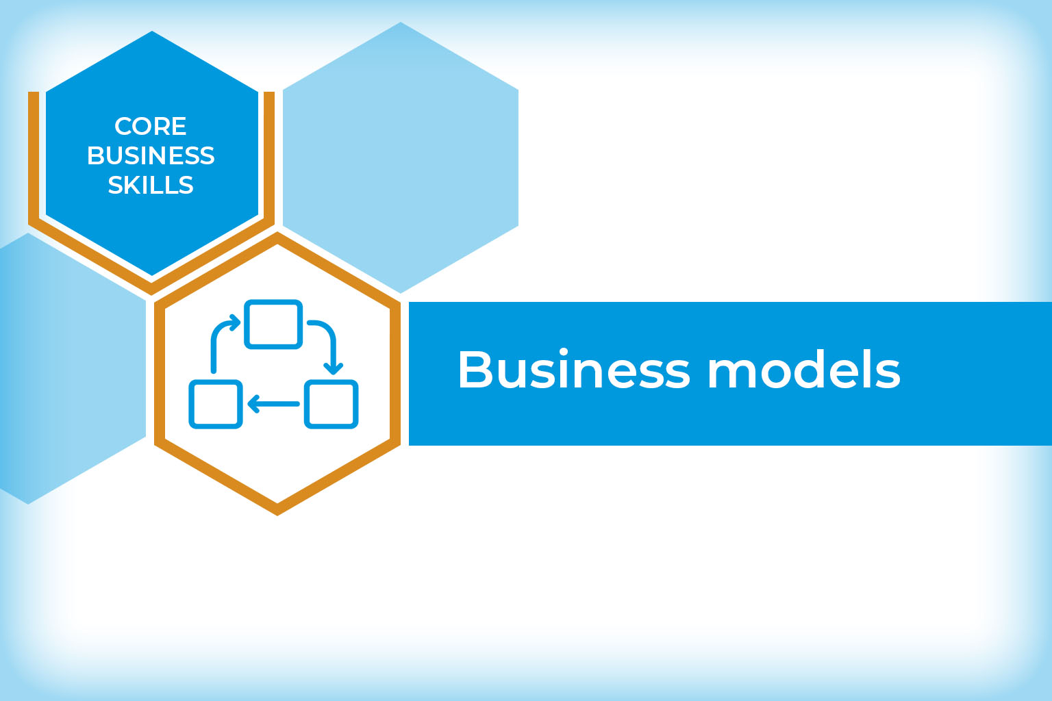 Business Models